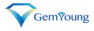 Gem-Young Insurance & Financial Planners - Logo 500