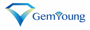 Gem-Young Insurance & Financial Planners - Logo 500