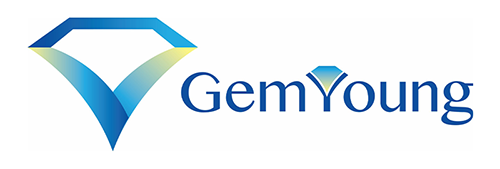 Gem-Young Insurance & Wealth Advisors
